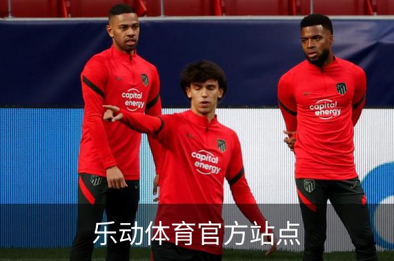 乐动体育官方站点介绍
